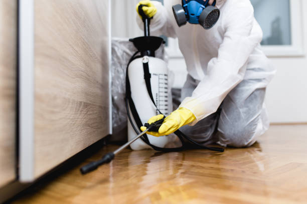 Best Termite Control Services  in Rome, GA