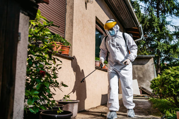 Best Exterminator Services  in Rome, GA