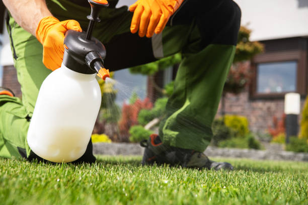 Best Best Pest Control Companies  in Rome, GA