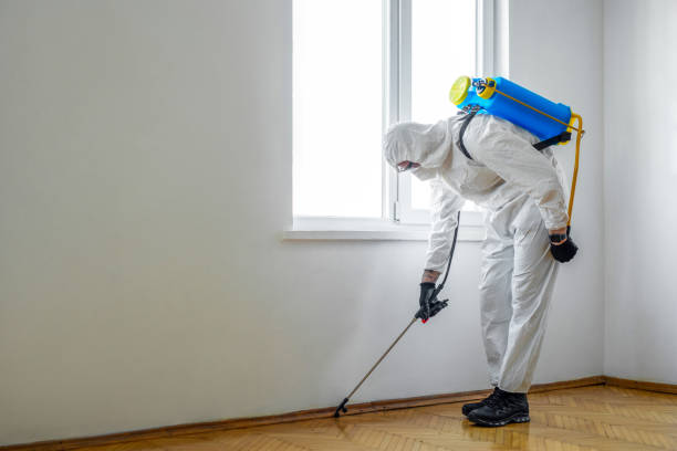  Rome, GA Pest Control Pros