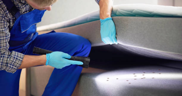 Best Affordable Pest Control Services  in Rome, GA