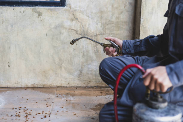 Best Pest Removal Services  in Rome, GA